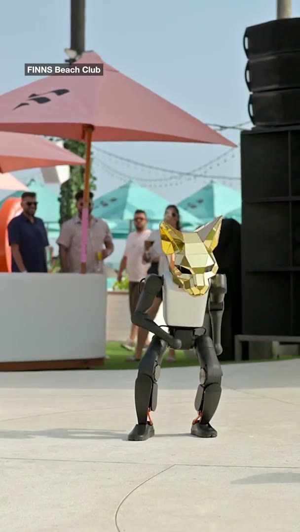 Humanoid robot performing at Finns Beach Club